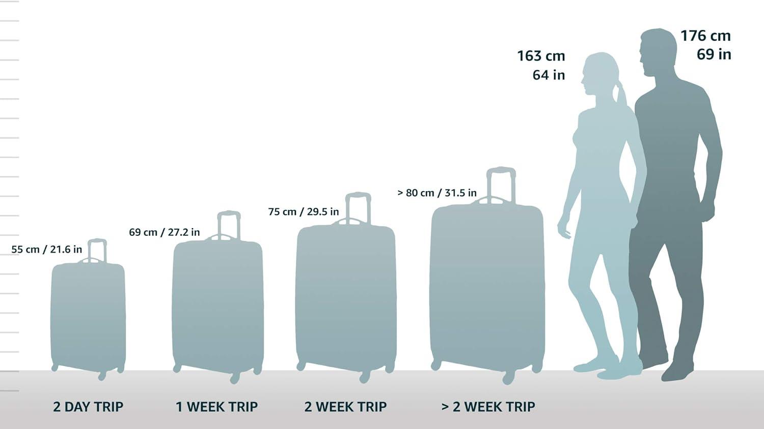 imageRockland Melbourne Hardside Expandable Spinner Wheel Luggage Set White CarryOn 20Inch and Tote 14InchGreen